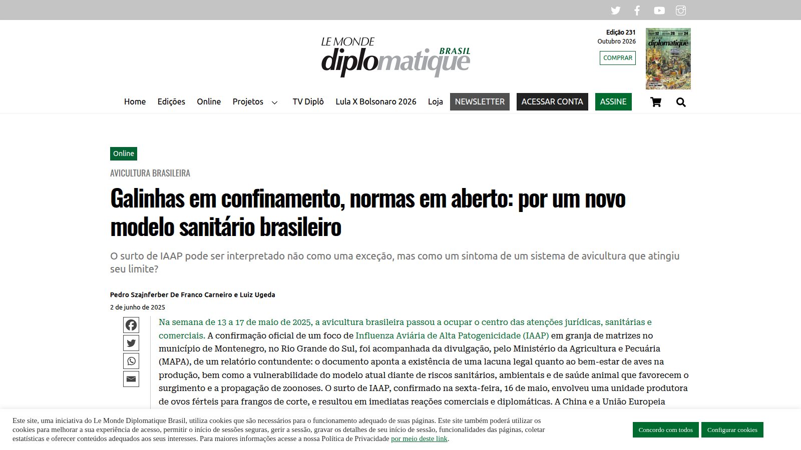 Galinhas em confinamento, normas em aberto: por um novo modelo sanitário brasileiro